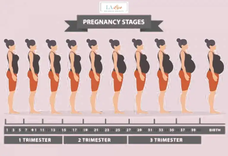First Trimester (Weeks 1–12): Early Changes You Might Not Notice Weston Super Mare